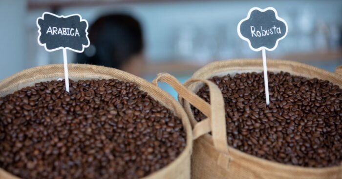 Jaká zrnková káva je kvalitnější - robusta nebo arabica? 